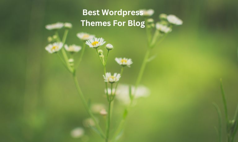 Best Wordpress Themes For Blog